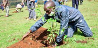 Responsabilidad social, otra razón para admirar a Eluid Kipchoge