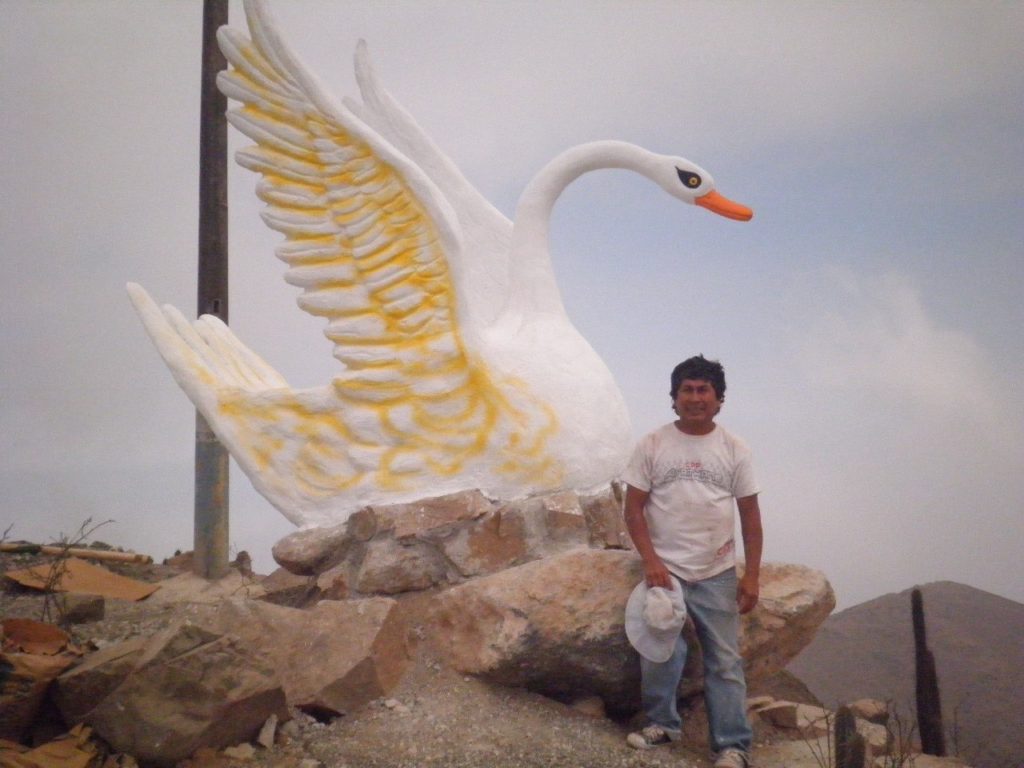 warner choz cisne