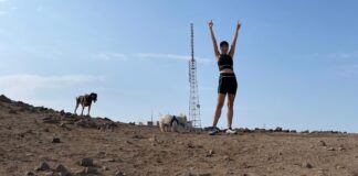 Correr con perros: consejos para tener la mejor experiencia