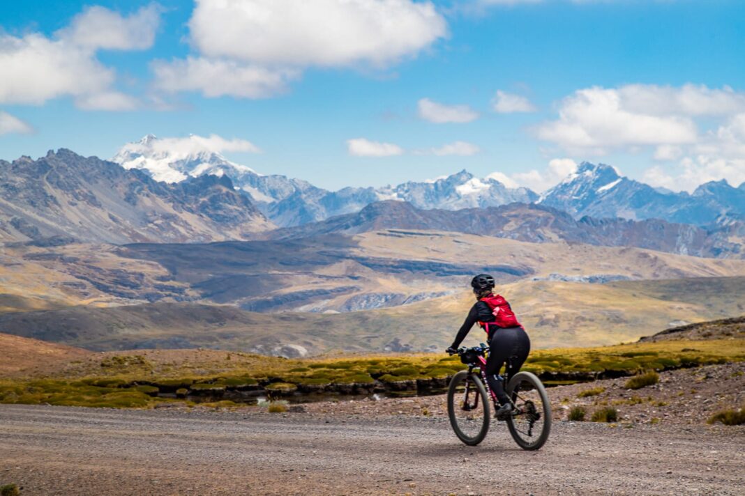 genesis inka mountain bike